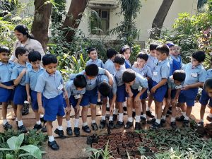 Curious students are actively learning about saplings.