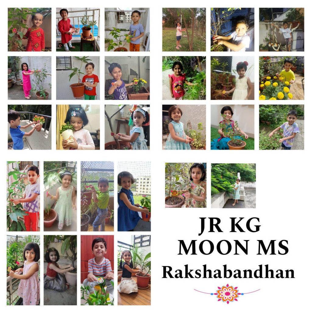 Green Raksha Bandhan