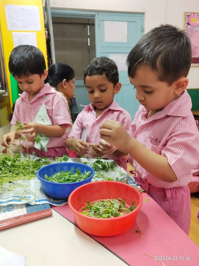 Mini Kg Activity (1)