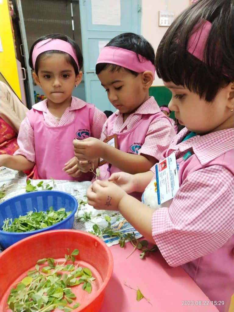 Mini Kg Activity (3)