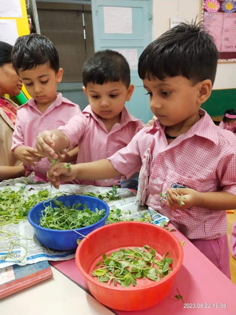 Mini Kg Activity (4)