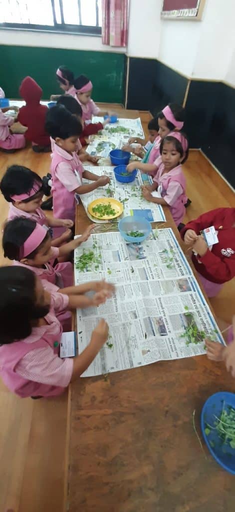 Mini Kg Activity (5)