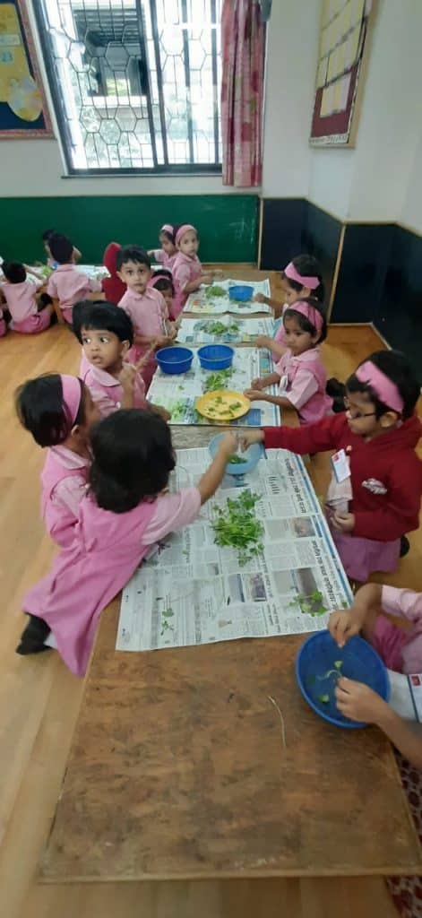 Mini Kg Activity (6)