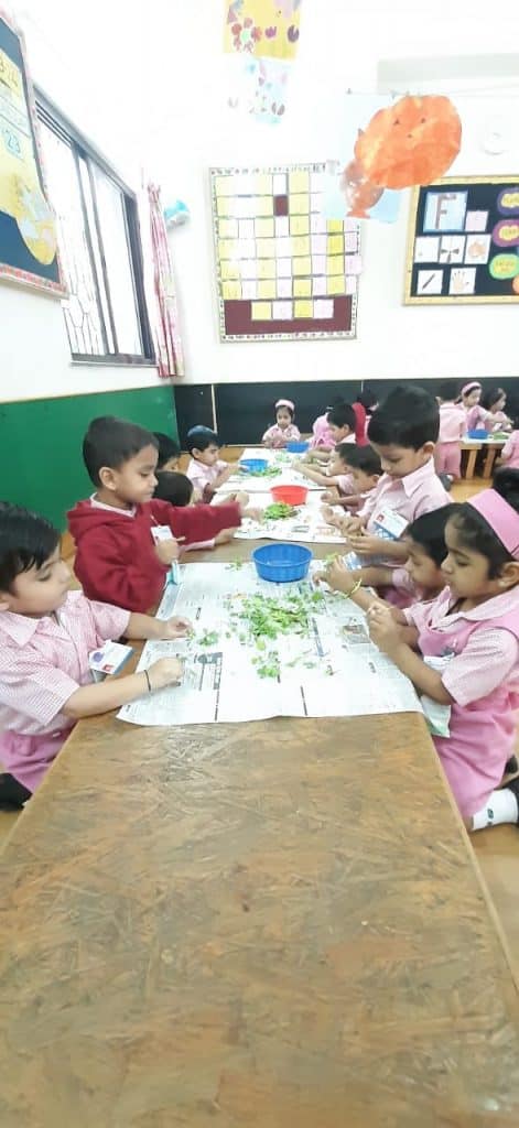 Mini Kg Activity (7)