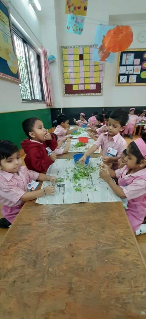 Mini Kg Activity (8)