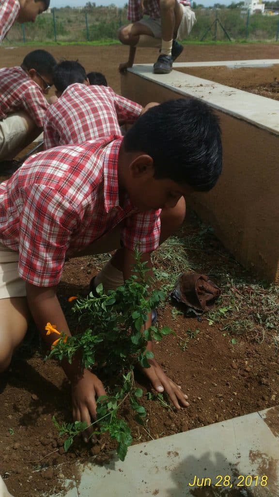 P_20180628_141830_1_p