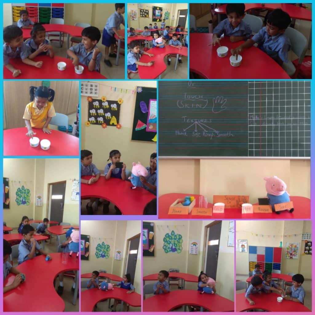 Sense f Touch Activity (13)