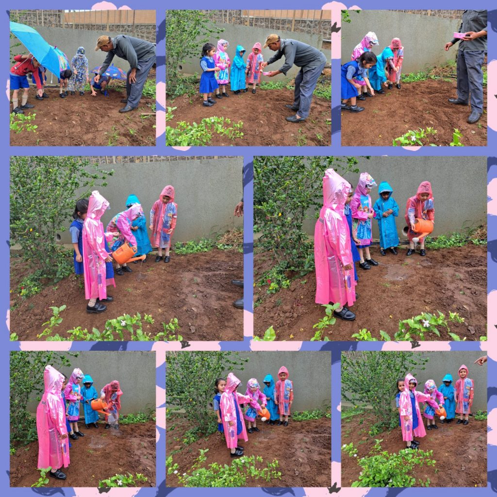Seed Germination Activity- Pre Primary (2)