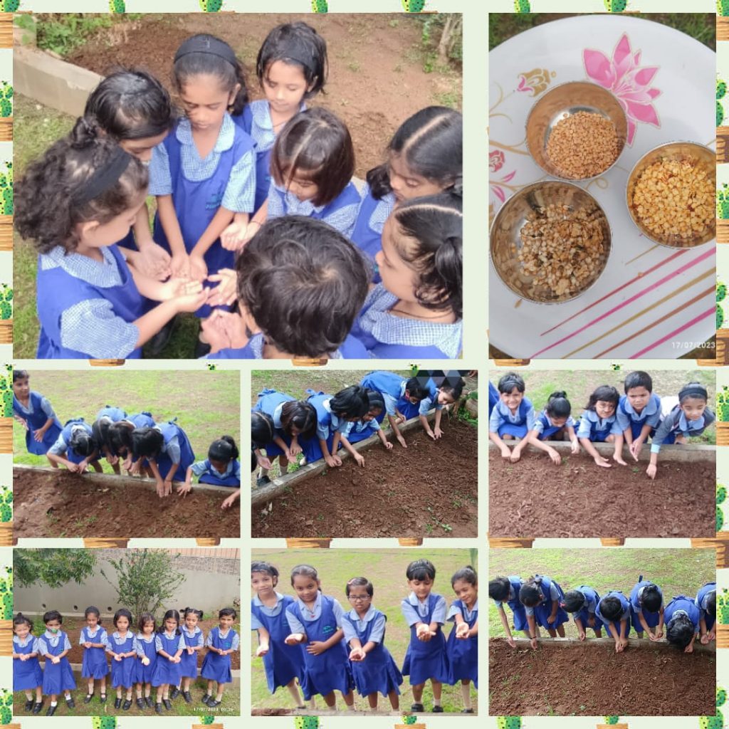 Seed Germination Activity- Pre Primary (3)