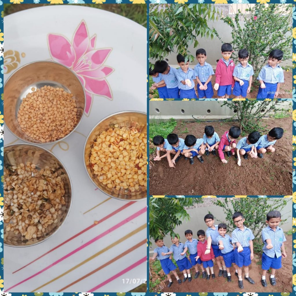 Seed Germination Activity- Pre Primary (4)