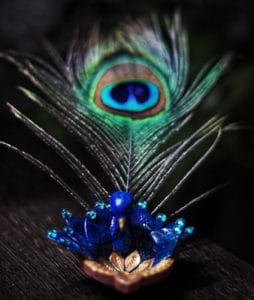 Image of Peacock feather symbolizing Ma Saraswati- the goddess of education.